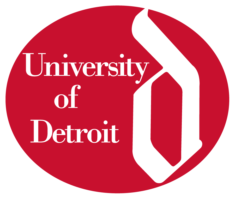 Detroit Mercy Titans 1965-1989 Primary Logo diy iron on heat transfer